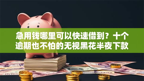 急用钱哪里可以快速借到?十个逾期也不怕的无视黑花半夜下款的网贷软件 急用钱哪里可以快速借到?十个逾期也不怕的无视黑花半夜下款的网贷软件