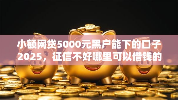 小额网贷5000元黑户能下的口子2025,征信不好哪里可以借钱的8个平台介绍 小额网贷5000元黑户能下的口子2025,征信不好哪里可以借钱的8个平台介绍