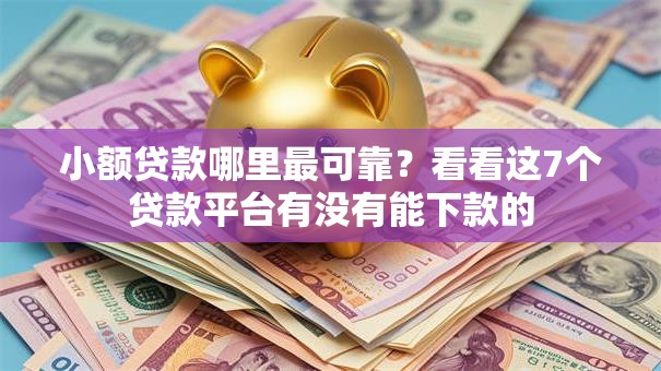 小额贷款哪里最可靠？看看这7个贷款平台有没有能下款的