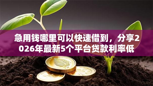 急用钱哪里可以快速借到，分享2026年最新5个平台贷款利率低