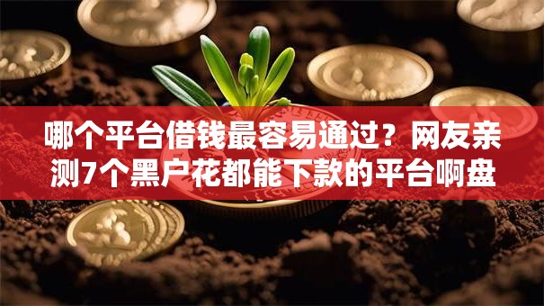 哪个平台借钱最容易通过？网友亲测7个黑户花都能下款的平台啊盘点