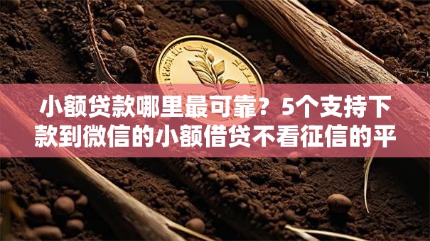 小额贷款哪里最可靠？5个支持下款到微信的小额借贷不看征信的平台