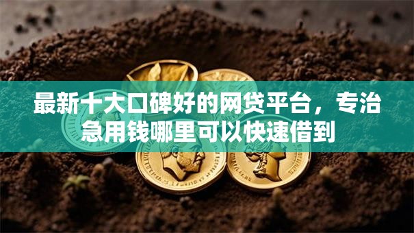 最新十大口碑好的网贷平台,专治急用钱哪里可以快速借到 最新十大口碑好的网贷平台,专治急用钱哪里可以快速借到