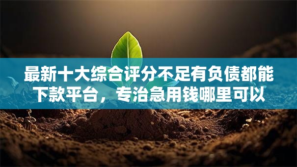 最新十大综合评分不足有负债都能下款平台，专治急用钱哪里可以快速借到