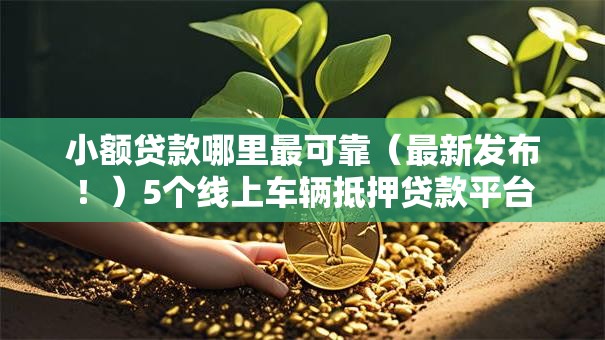 小额贷款哪里最可靠(最新发布!)5个线上车辆抵押贷款平台 小额贷款哪里最可靠(最新发布!)5个线上车辆抵押贷款平台