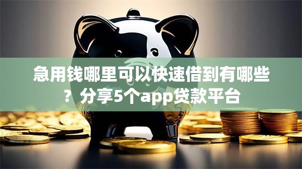 急用钱哪里可以快速借到有哪些？分享5个app贷款平台