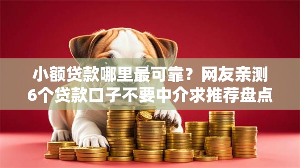 小额贷款哪里最可靠？网友亲测6个贷款口子不要中介求推荐盘点
