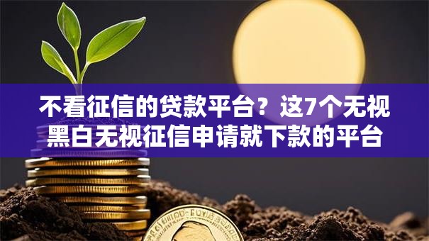 不看征信的贷款平台？这7个无视黑白无视征信申请就下款的平台值得一试