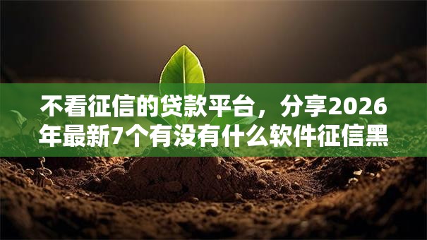 不看征信的贷款平台，分享2026年最新7个有没有什么软件征信黑了可以贷款