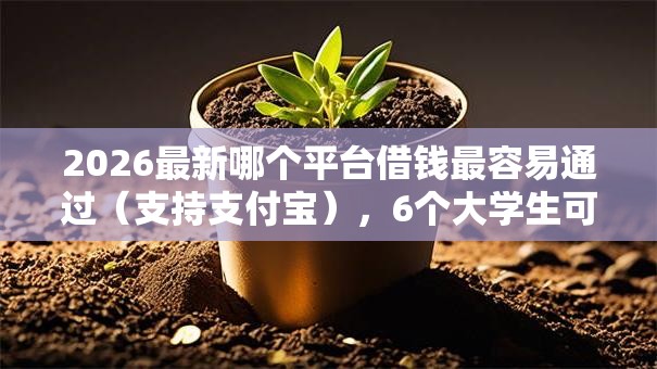 2026最新哪个平台借钱最容易通过（支持支付宝），6个大学生可以使用的平台无私分享