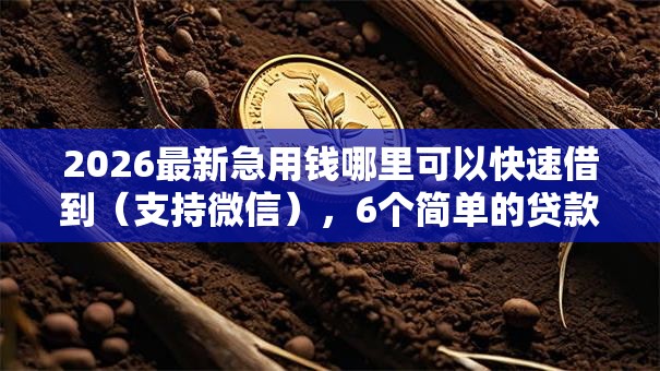 2026最新急用钱哪里可以快速借到（支持微信），6个简单的贷款平台无私分享
