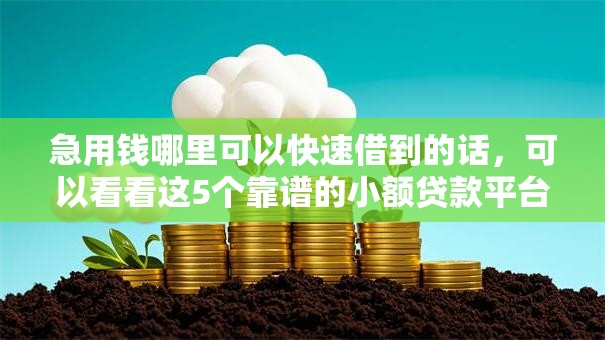 急用钱哪里可以快速借到的话,可以看看这5个靠谱的小额贷款平台 急用钱哪里可以快速借到的话,可以看看这5个靠谱的小额贷款平台