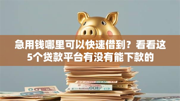 急用钱哪里可以快速借到?看看这5个贷款平台有没有能下款的 急用钱哪里可以快速借到?看看这5个贷款平台有没有能下款的