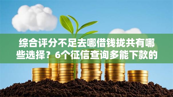 综合评分不足去哪借钱拢共有哪些选择?6个征信查询多能下款的平台详解 综合评分不足去哪借钱拢共有哪些选择?6个征信查询多能下款的平台详解