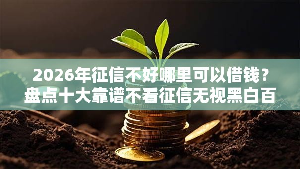 2026年征信不好哪里可以借钱?盘点十大靠谱不看征信无视黑白百分百下款平台 2026年征信不好哪里可以借钱?盘点十大靠谱不看征信无视黑白百分百下款平台