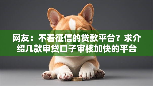 网友:不看征信的贷款平台?求介绍几款审贷口子审核加快的平台 网友:不看征信的贷款平台?求介绍几款审贷口子审核加快的平台