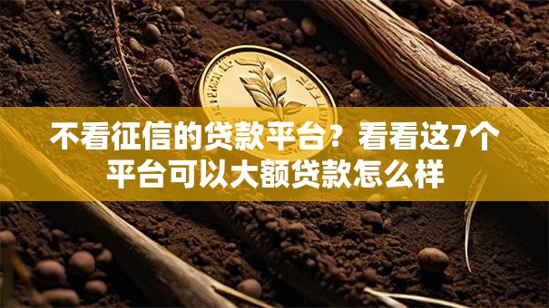 不看征信的贷款平台？看看这7个平台可以大额贷款怎么样