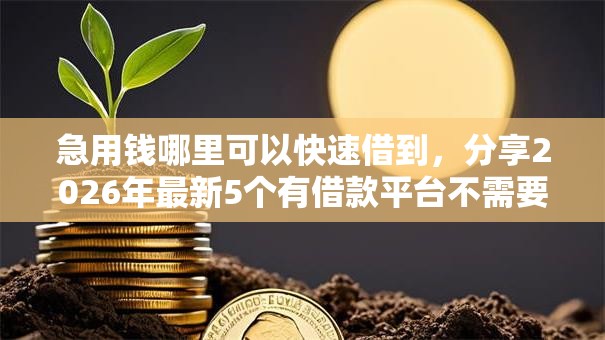 急用钱哪里可以快速借到,分享2026年最新5个有借款平台不需要征信就能借钱的 急用钱哪里可以快速借到,分享2026年最新5个有借款平台不需要征信就能借钱的