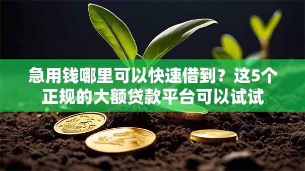 急用钱哪里可以快速借到?这5个正规的大额贷款平台可以试试 急用钱哪里可以快速借到?这5个正规的大额贷款平台可以试试