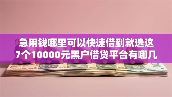 急用钱哪里可以快速借到就选这7个10000元黑户借贷平台有哪几家 急用钱哪里可以快速借到就选这7个10000元黑户借贷平台有哪几家