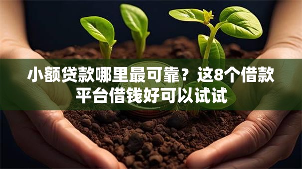 小额贷款哪里最可靠?这8个借款平台借钱好可以试试 小额贷款哪里最可靠?这8个借款平台借钱好可以试试