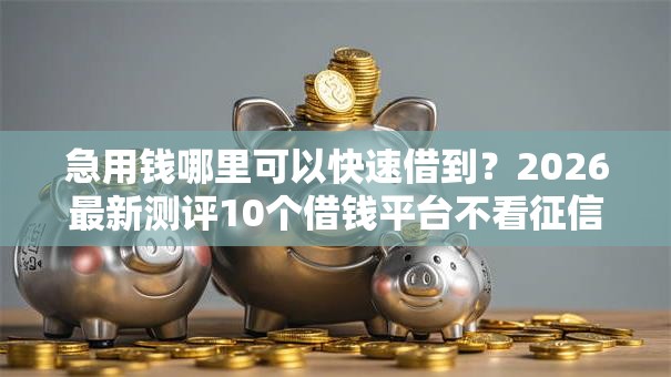 急用钱哪里可以快速借到?2026最新测评10个借钱平台不看征信容易通过的 急用钱哪里可以快速借到?2026最新测评10个借钱平台不看征信容易通过的