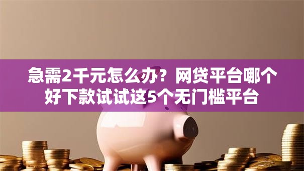 急需2千元怎么办？网贷平台哪个好下款试试这5个无门槛平台
