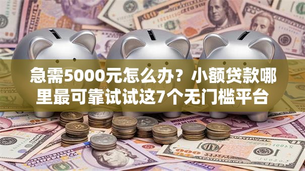 急需5000元怎么办?小额贷款哪里最可靠试试这7个无门槛平台 急需5000元怎么办?小额贷款哪里最可靠试试这7个无门槛平台