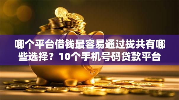 哪个平台借钱最容易通过拢共有哪些选择?10个手机号码贷款平台详解 哪个平台借钱最容易通过拢共有哪些选择?10个手机号码贷款平台详解