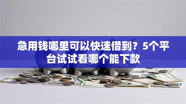 急用钱哪里可以快速借到?5个平台试试看哪个能下款 急用钱哪里可以快速借到?5个平台试试看哪个能下款