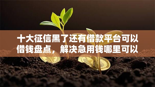 十大征信黑了还有借款平台可以借钱盘点,解决急用钱哪里可以快速借到的问题 十大征信黑了还有借款平台可以借钱盘点,解决急用钱哪里可以快速借到的问题
