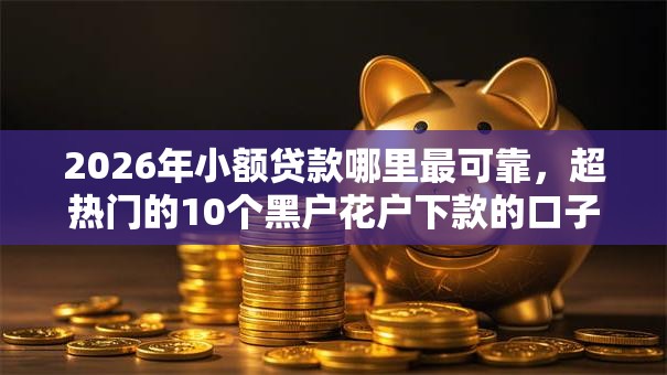 2026年小额贷款哪里最可靠,超热门的10个黑户花户下款的口子2025推荐 2026年小额贷款哪里最可靠,超热门的10个黑户花户下款的口子2025推荐