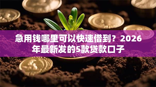 急用钱哪里可以快速借到？2026年最新发的5款贷款口子