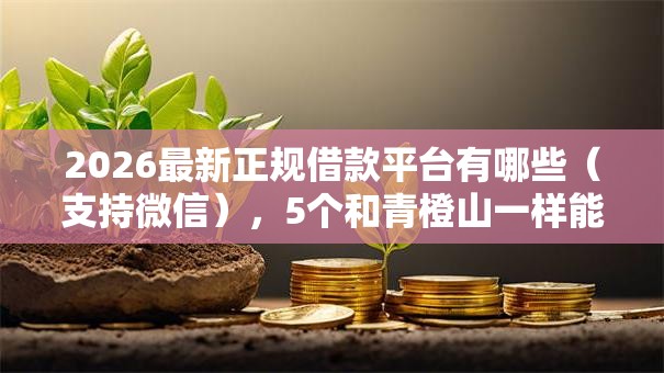 2026最新正规借款平台有哪些（支持微信），5个和青橙山一样能下款的口子无私分享