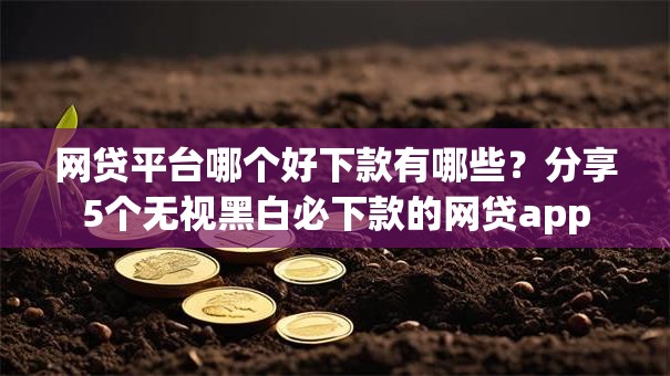 网贷平台哪个好下款有哪些？分享5个无视黑白必下款的网贷app