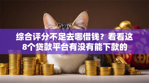 综合评分不足去哪借钱？看看这8个贷款平台有没有能下款的