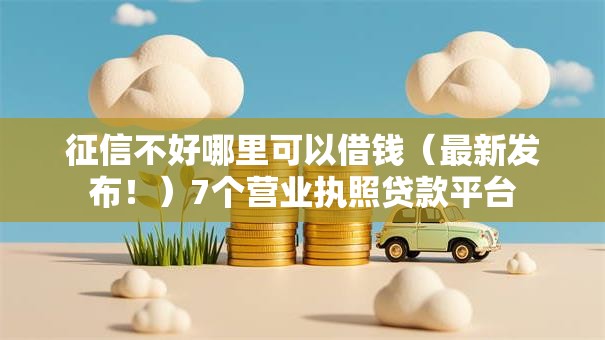征信不好哪里可以借钱（最新发布！）7个营业执照贷款平台