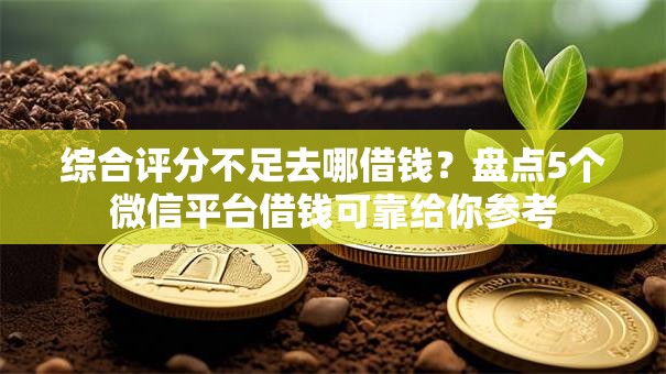 综合评分不足去哪借钱?盘点5个微信平台借钱可靠给你参考 综合评分不足去哪借钱?盘点5个微信平台借钱可靠给你参考