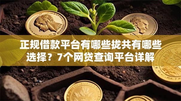 正规借款平台有哪些拢共有哪些选择？7个网贷查询平台详解