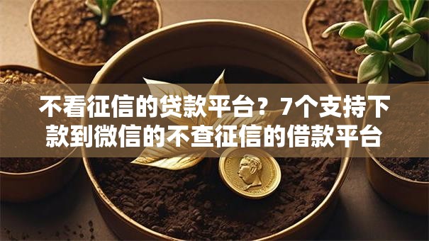 不看征信的贷款平台？7个支持下款到微信的不查征信的借款平台百分百通过