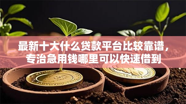 最新十大什么贷款平台比较靠谱,专治急用钱哪里可以快速借到 最新十大什么贷款平台比较靠谱,专治急用钱哪里可以快速借到