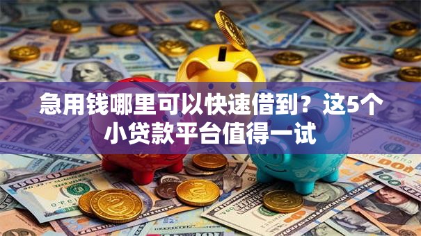 急用钱哪里可以快速借到？这5个小贷款平台值得一试