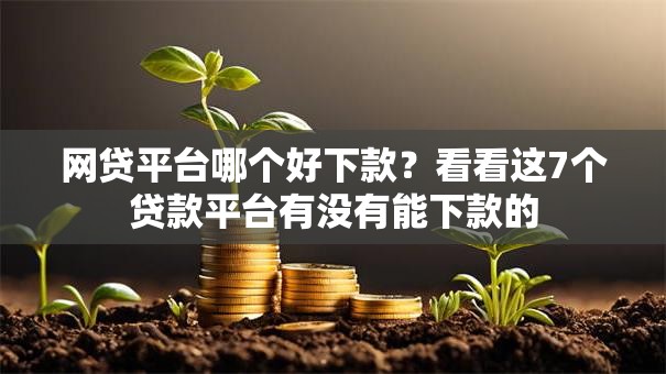 网贷平台哪个好下款？看看这7个贷款平台有没有能下款的