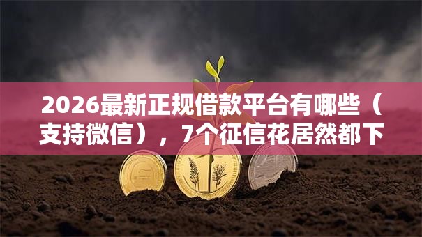2026最新正规借款平台有哪些(支持微信),7个征信花居然都下款的软件无私分享 2026最新正规借款平台有哪些(支持微信),7个征信花居然都下款的软件无私分享