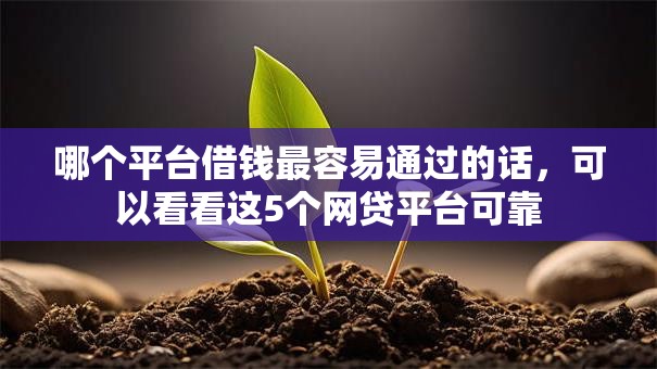 哪个平台借钱最容易通过的话,可以看看这5个网贷平台可靠 哪个平台借钱最容易通过的话,可以看看这5个网贷平台可靠