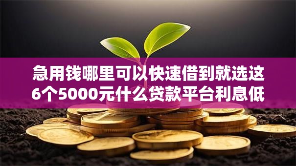 急用钱哪里可以快速借到就选这6个5000元什么贷款平台利息低 急用钱哪里可以快速借到就选这6个5000元什么贷款平台利息低