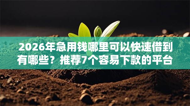 2026年急用钱哪里可以快速借到有哪些?推荐7个容易下款的平台 2026年急用钱哪里可以快速借到有哪些?推荐7个容易下款的平台