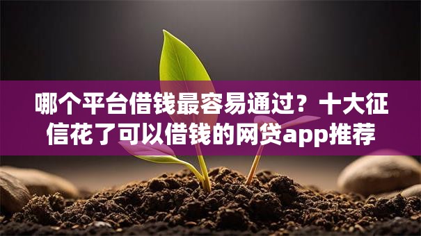 哪个平台借钱最容易通过？十大征信花了可以借钱的网贷app推荐
