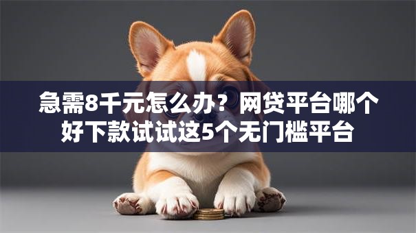急需8千元怎么办?网贷平台哪个好下款试试这5个无门槛平台 急需8千元怎么办?网贷平台哪个好下款试试这5个无门槛平台