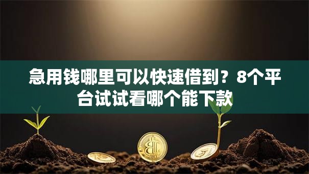 急用钱哪里可以快速借到？8个平台试试看哪个能下款